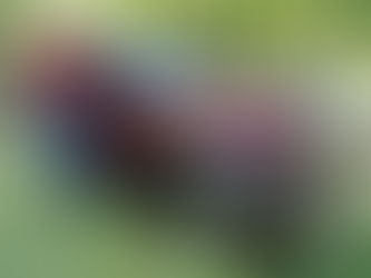 Dead End Street Rodders’ show returns Sept. 21