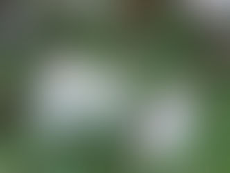 Trail Talk: The importance of respecting and protecting nature