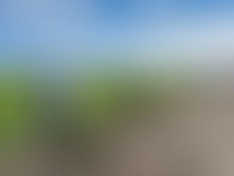 Landowners Can Purchase Trees Through New Online Portal for Spring Planting Projects