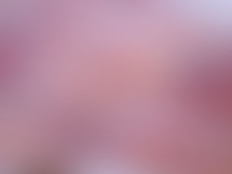 鎖管食魚教育體驗推廣計畫