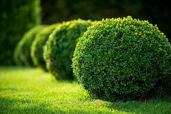 seasonal landscaping in stephenville tx