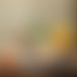 Nourishing Wellness: Strategies for Being Healthy From the Inside Out