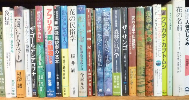 おくだ書店・内観