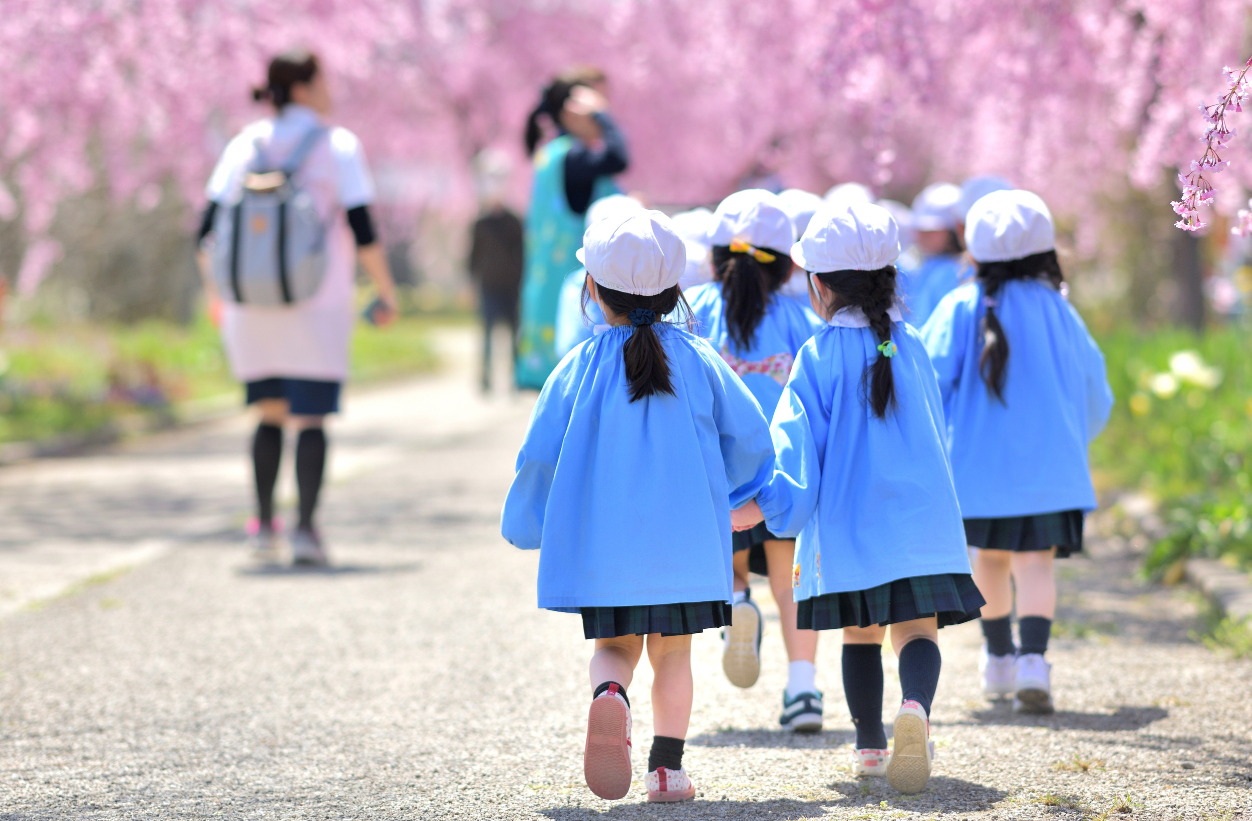 竜谷学園系列の幼稚園制服など 15点|正規販売店 竜谷学園系列の幼稚園制服など 15点|正規販売店