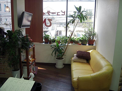 ひらい美容室の日当たりの良いソファー