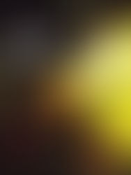 Production Series: NASCENT