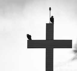 Cruz