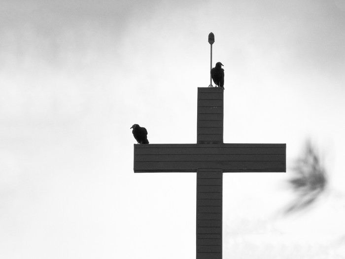 Blessed Are the Persecuted (Matt 5:10-12)