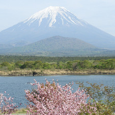 mount-fuji-6201279_1280.jpeg