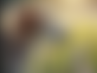 Scarica il pdf gratuito...