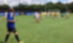 In game Polish Astro turf side