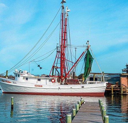 NC Catch 20230403-HT8A0885+(1)_edited_edited.jpg