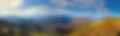0BE81CED-84A4-470F-9567-EE91A8AE5105_edited.jpg