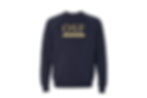 CLASSIC NAVY CREW NECK
