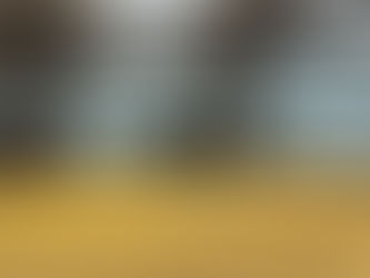 shedding season!-my favorite shedding tools for horses