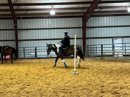 shedding season!-my favorite shedding tools for horses