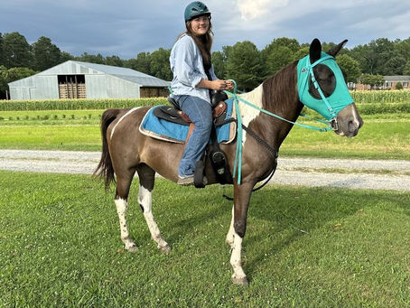 Flies, a summer nightmare!