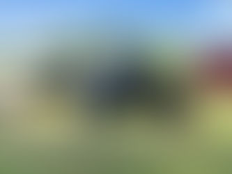 What is western riding? The history of western riding and rodeo