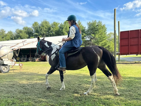 What is western riding? The history of western riding and rodeo