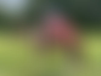 "Stop calling it a dream, and start calling it a plan"