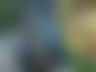 When summer hits hard-flies, heat, electrolytes