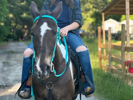 When summer hits hard-flies, heat, electrolytes