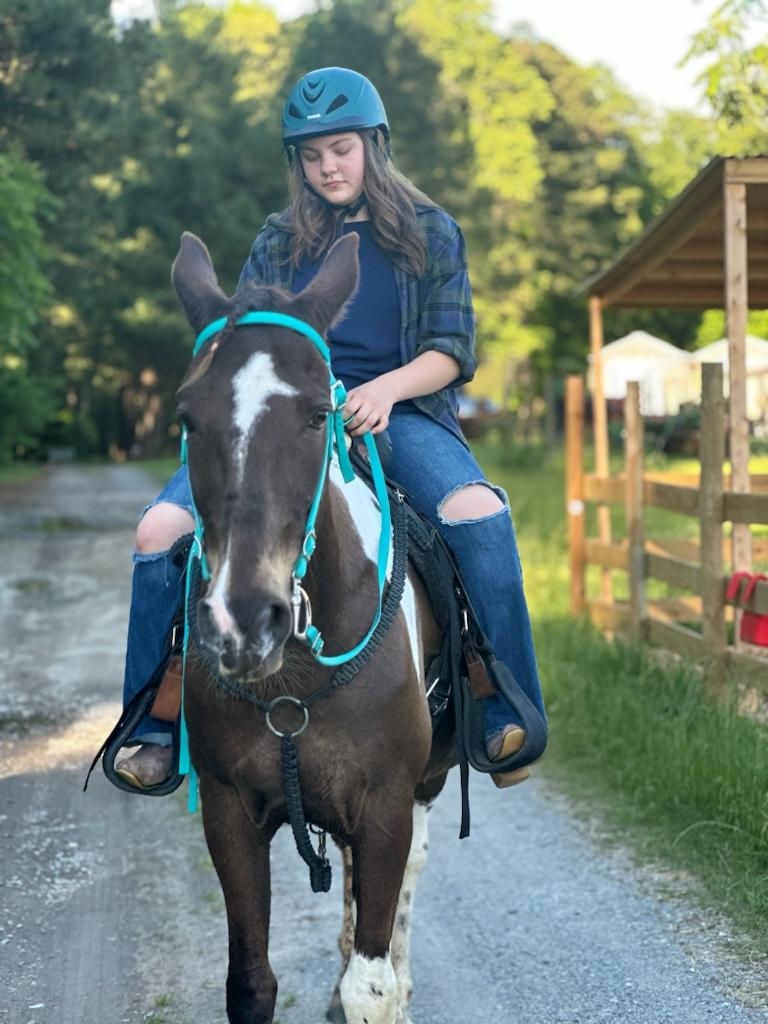 When summer hits hard-flies, heat, electrolytes