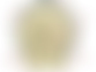 "No hoof, no horse" Everything you need to know about the equine hoof!