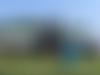 The Basics to owning a horse part 3. Veterinary Needs, farriers & vaccinations.