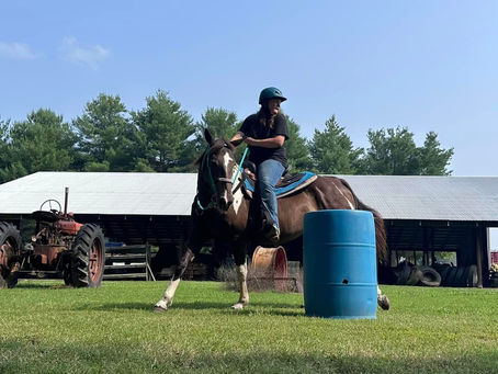 The Basics to owning a horse part 3. Veterinary Needs, farriers & vaccinations.