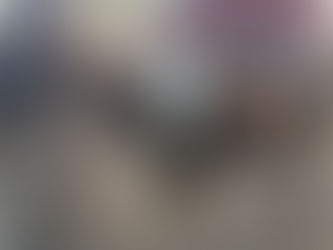 The Basics to owning a horse part 2. Proper Tack fit & type (western)