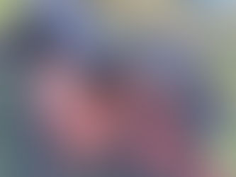 How to find the right breed for you! Western Edition