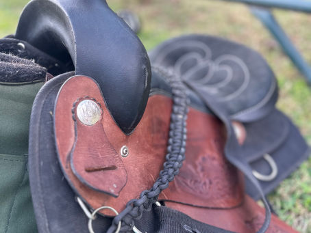 How to find the right breed for you! Western Edition