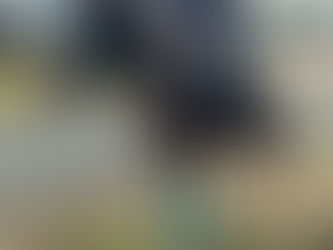 My top five favorite places to buy tack! (as a broke teen)