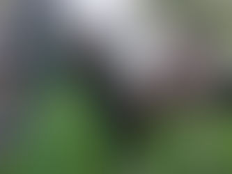 When mares get marish...