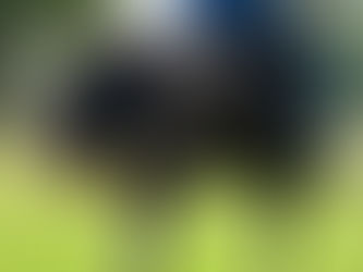 How to keep your horse cool in summer!