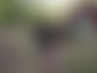 "IM NOT RICH OKAY!?" How to budget when owning a horse! My personal tips & tricks!