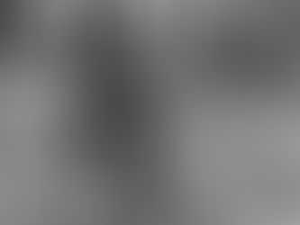 My horse story-From city rooted, to country grown