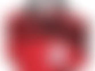 How to prepare an equine first aid kit & why