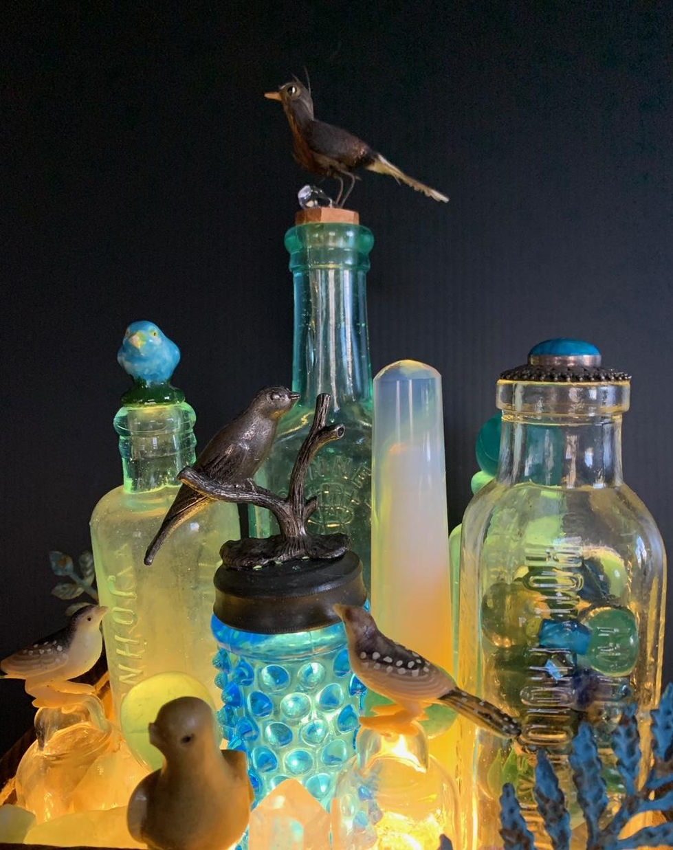 deb lb birds 2