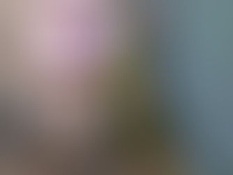 OS ESPAÇOS DA INFÂNCIA