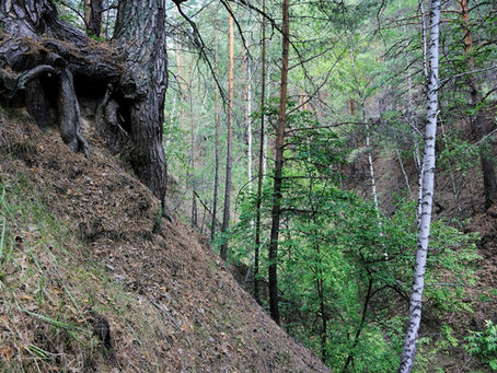Steep slope leading to a watercourse