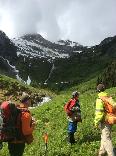 Valemount Field Crew.JPG