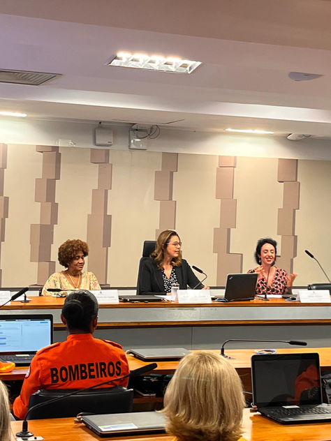 Presidente da CABE ressalta a importância do cuidado com a saúde mental das mulheres na segurança pública em audiência pública.