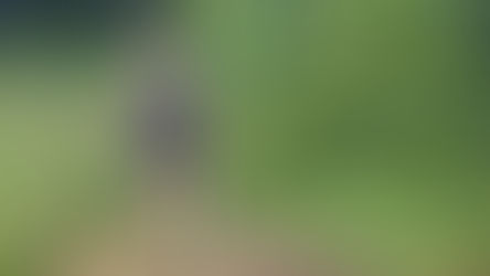 Interview mit unserer neuen Nachhaltigkeitsbeauftragten Linda Kühn