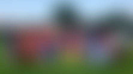 Die Leipziger Fußballwelt trauert um Lothar Wolf