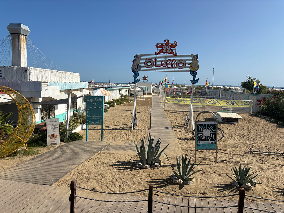 Bagno che accoglie animali a Rimini
