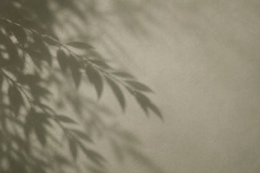 image0.png