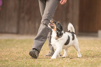 AdobeStock_106106025.jpeg