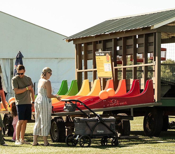 people playing roller bowlers.jpg